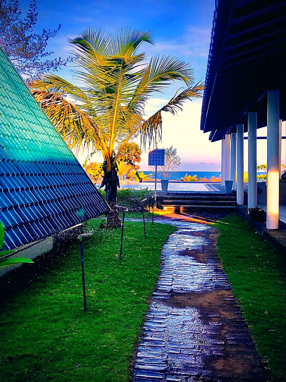 Lush planting around the villas