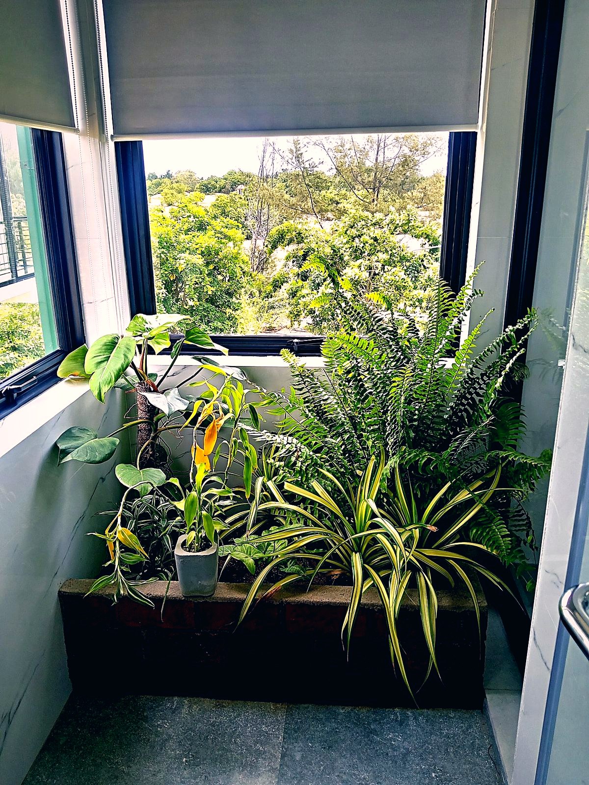 Pool and gardens from above